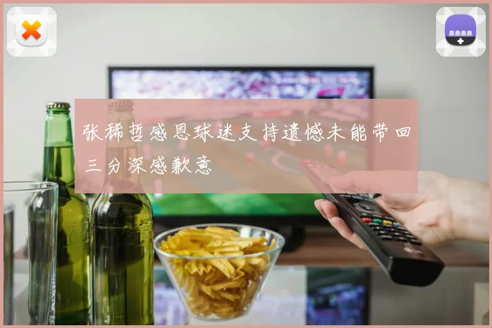 张稀哲感恩球迷支持遗憾未能带回三分深感歉意