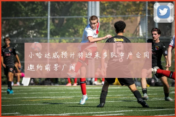小哈达威预计将迎来多队中产合同邀约前景广阔