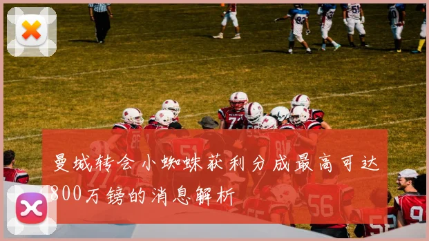 曼城转会小蜘蛛获利分成最高可达800万镑的消息解析