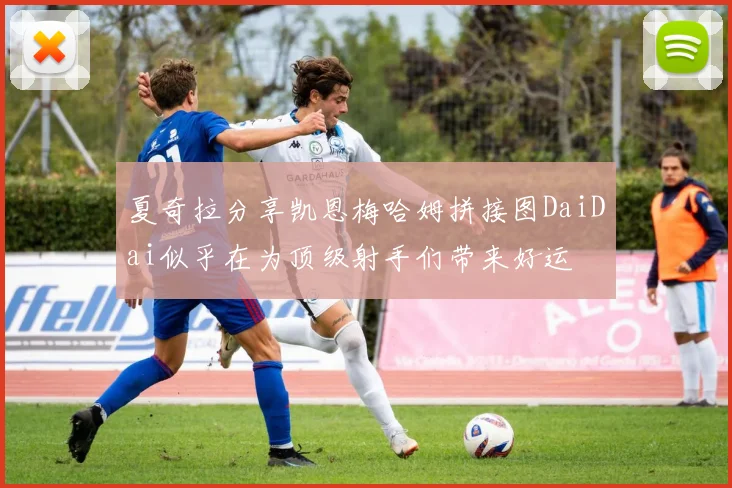 夏奇拉分享凯恩梅哈姆拼接图DaiDai似乎在为顶级射手们带来好运